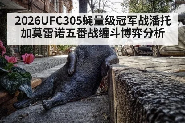 2026UFC305蝇量级冠军战潘托加莫雷诺五番战缠斗博弈分析