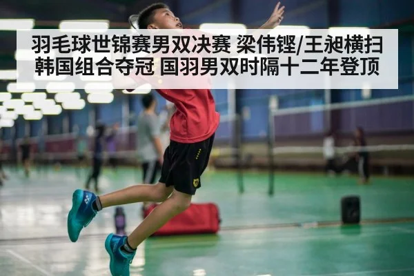 羽毛球世锦赛男双决赛 梁伟铿/王昶横扫韩国组合夺冠 国羽男双时隔十二年登顶