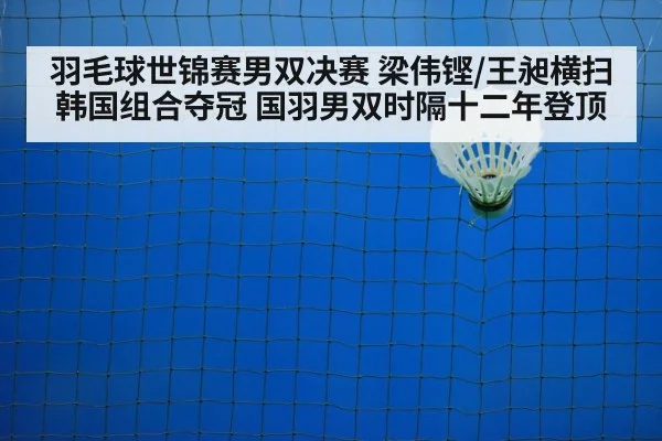 badminton net play