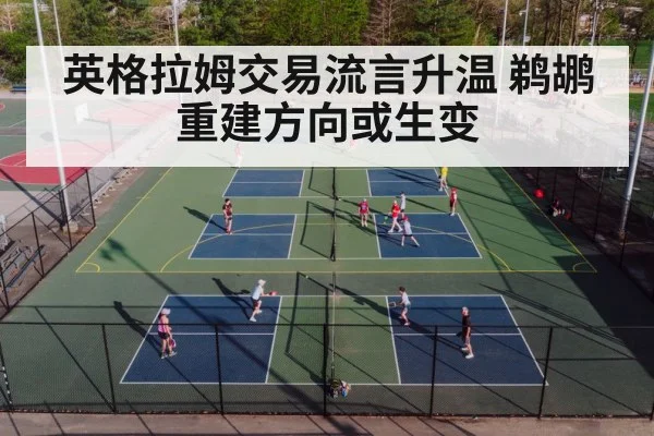 basketball court